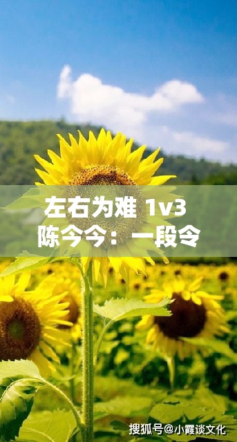 左右为难 1v3 陈今今：一段令人纠结的复杂情感故事