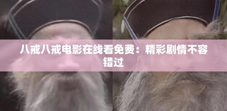 八戒八戒电影在线看免费：精彩剧情不容错过