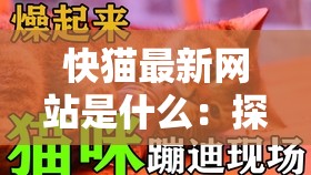 快猫最新网站是什么：探寻其背后的秘密与相关信息