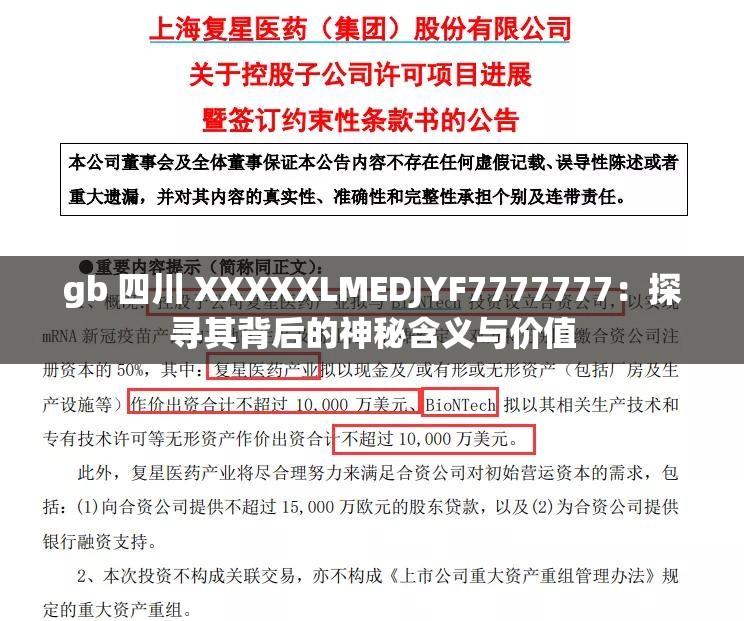 gb 四川 XXXXXLMEDJYF7777777：探寻其背后的神秘含义与价值