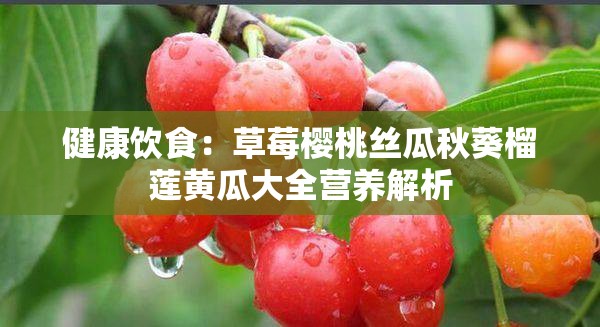 健康饮食：草莓樱桃丝瓜秋葵榴莲黄瓜大全营养解析