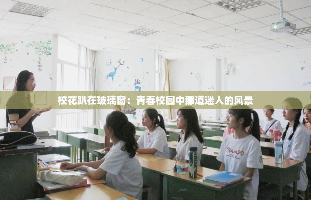 校花趴在玻璃窗：青春校园中那道迷人的风景