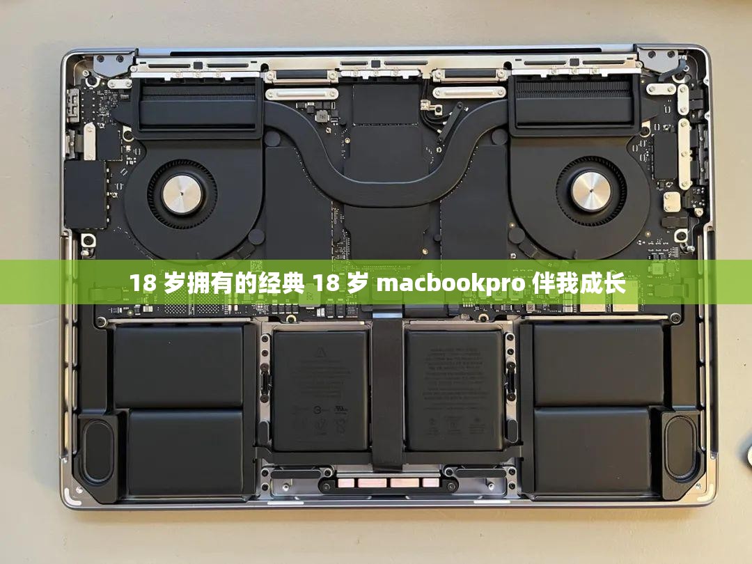 18 岁拥有的经典 18 岁 macbookpro 伴我成长