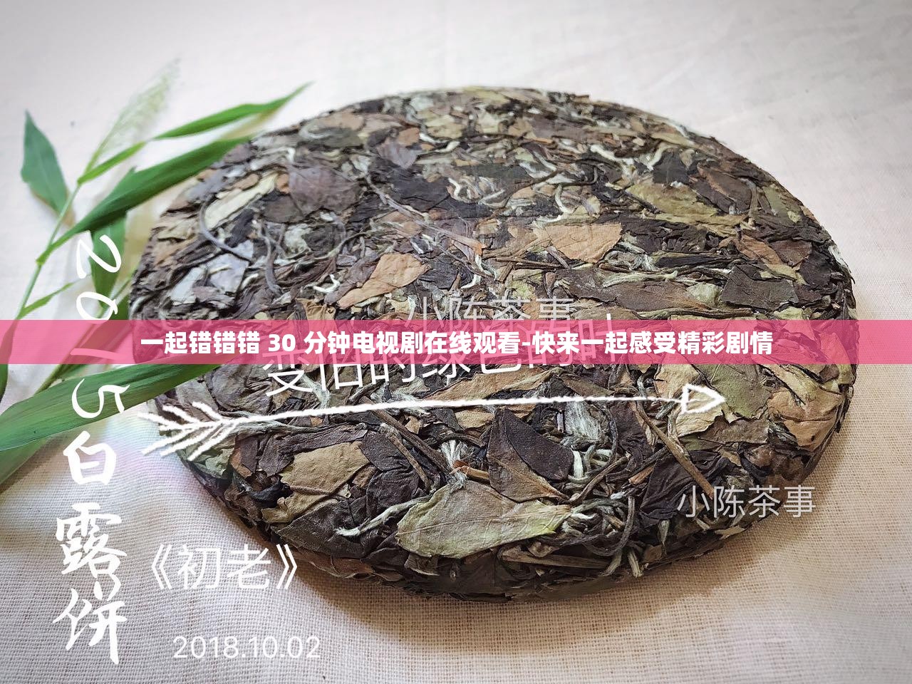 一起错错错 30 分钟电视剧在线观看-快来一起感受精彩剧情