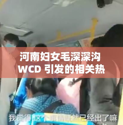 河南妇女毛深深沟 WCD 引发的相关热议