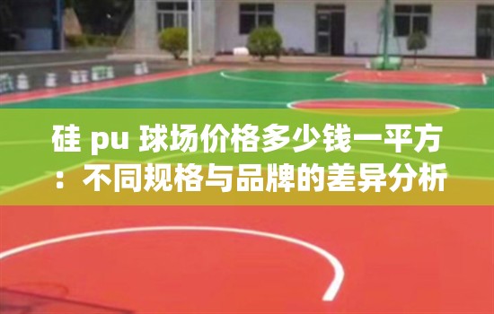 硅 pu 球场价格多少钱一平方：不同规格与品牌的差异分析