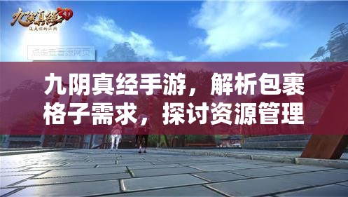 九阴真经手游，解析包裹格子需求，探讨资源管理重要性及高效利用策略