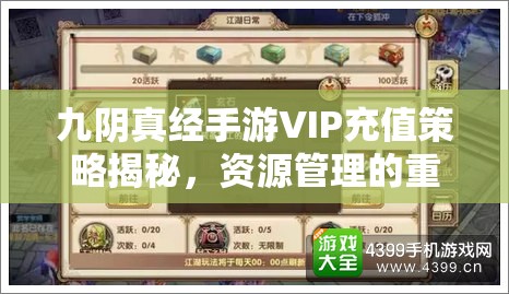 九阴真经手游VIP充值策略揭秘，资源管理的重要性及高效利用技巧