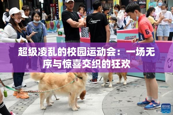 超级凌乱的校园运动会：一场无序与惊喜交织的狂欢