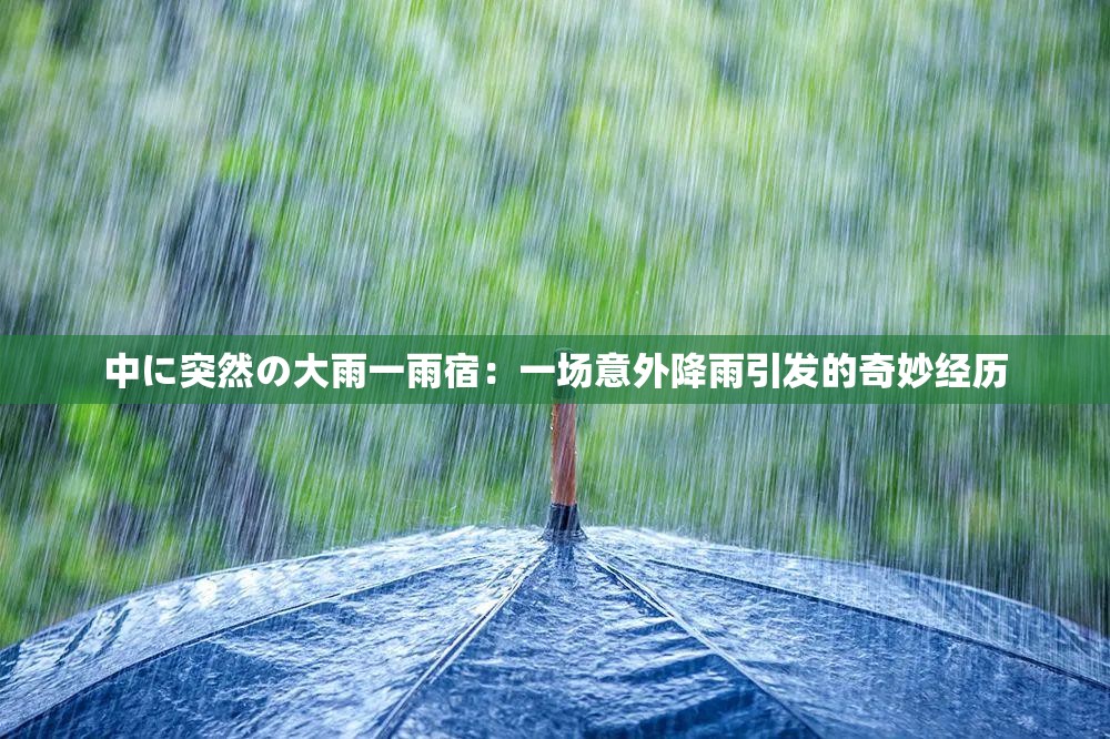 中に突然の大雨一雨宿：一场意外降雨引发的奇妙经历