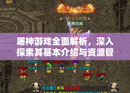屠神游戏全面解析，深入探索其基本介绍与资源管理艺术