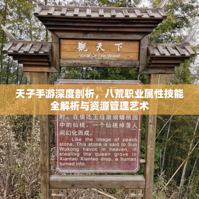 天子手游深度剖析，八荒职业属性技能全解析与资源管理艺术