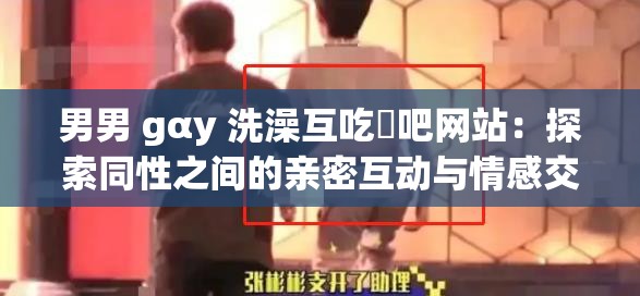 男男 gαy 洗澡互吃鳮吧网站：探索同性之间的亲密互动与情感交流