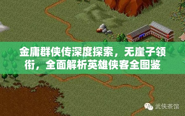 金庸群侠传深度探索，无崖子领衔，全面解析英雄侠客全图鉴