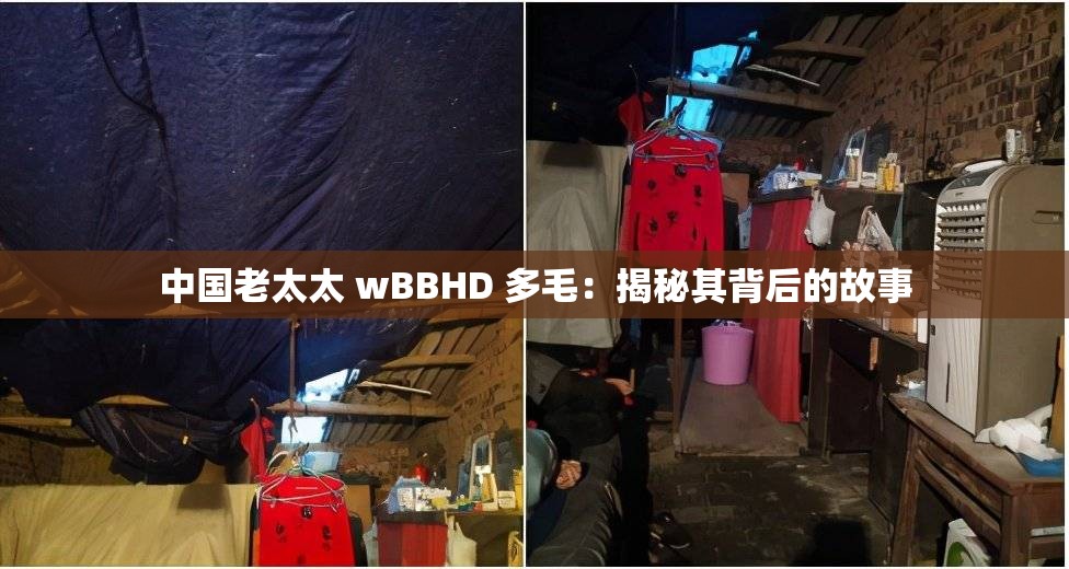 中国老太太 wBBHD 多毛：揭秘其背后的故事