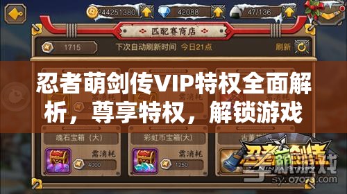 忍者萌剑传VIP特权全面解析，尊享特权，解锁游戏全新玩法与境界
