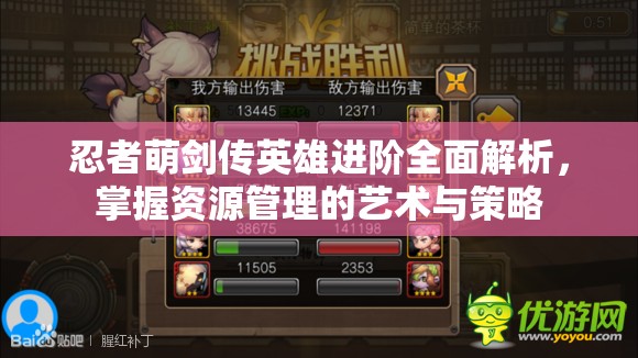 忍者萌剑传英雄进阶全面解析，掌握资源管理的艺术与策略