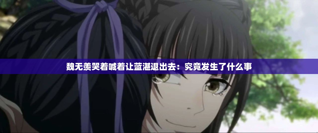 魏无羡哭着喊着让蓝湛退出去：究竟发生了什么事