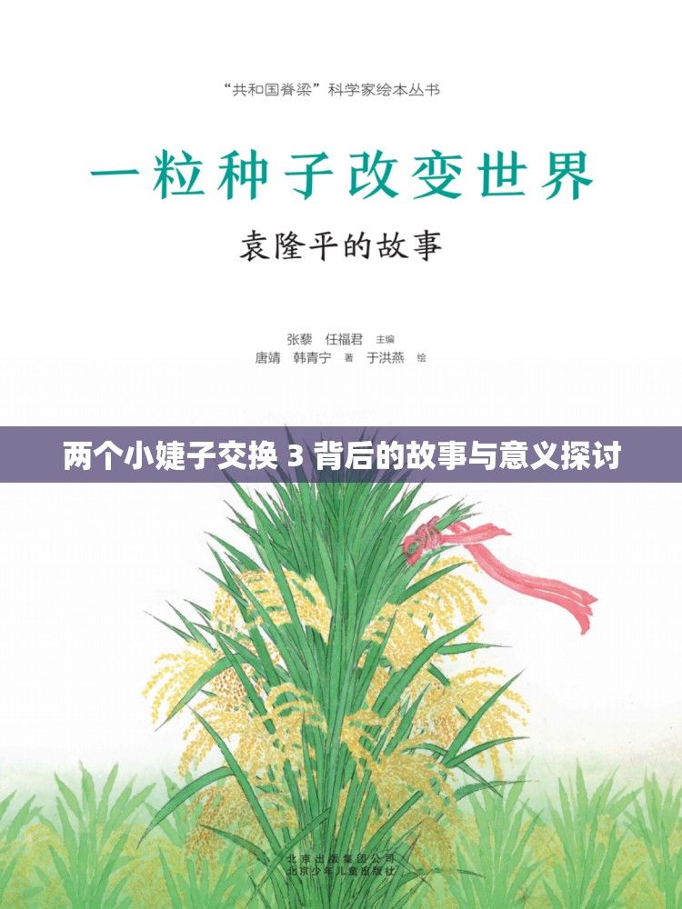 两个小婕子交换 3 背后的故事与意义探讨