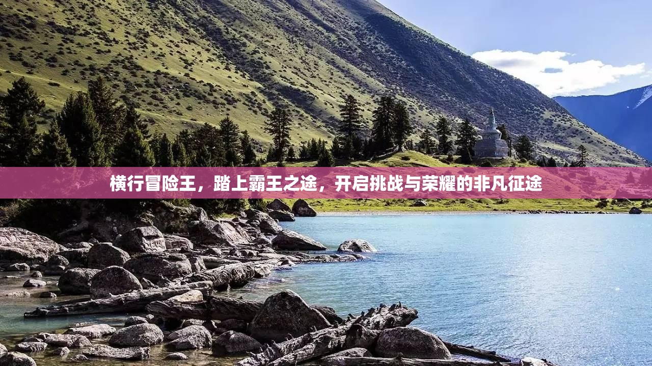 横行冒险王，踏上霸王之途，开启挑战与荣耀的非凡征途