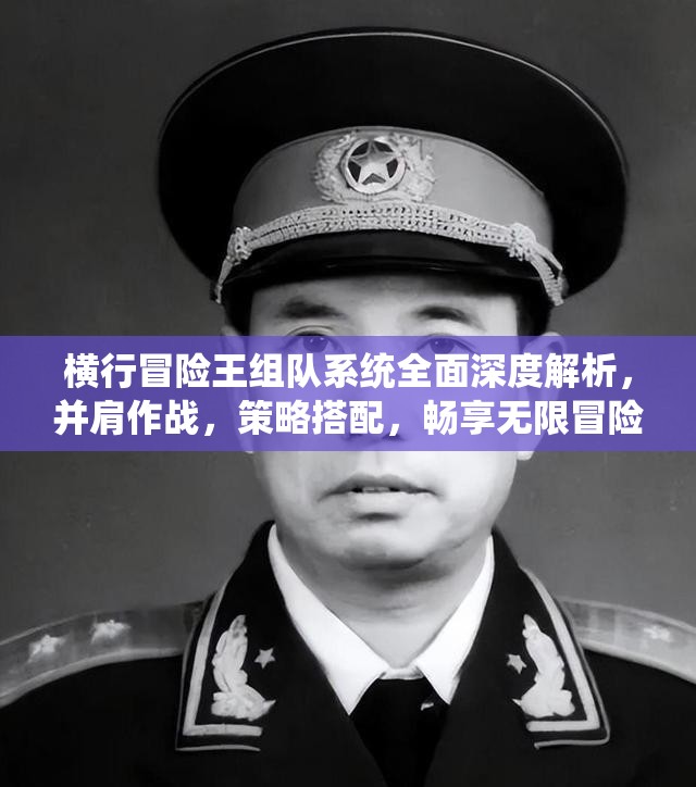 横行冒险王组队系统全面深度解析，并肩作战，策略搭配，畅享无限冒险乐趣