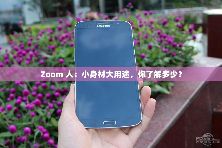 Zoom 人：小身材大用途，你了解多少？