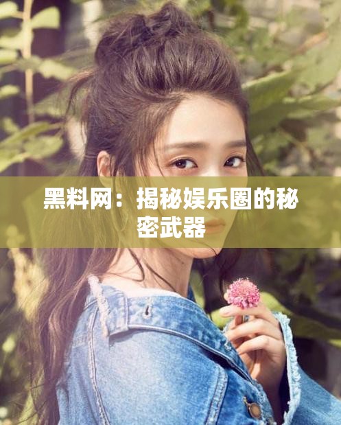 黑料网：揭秘娱乐圈的秘密武器