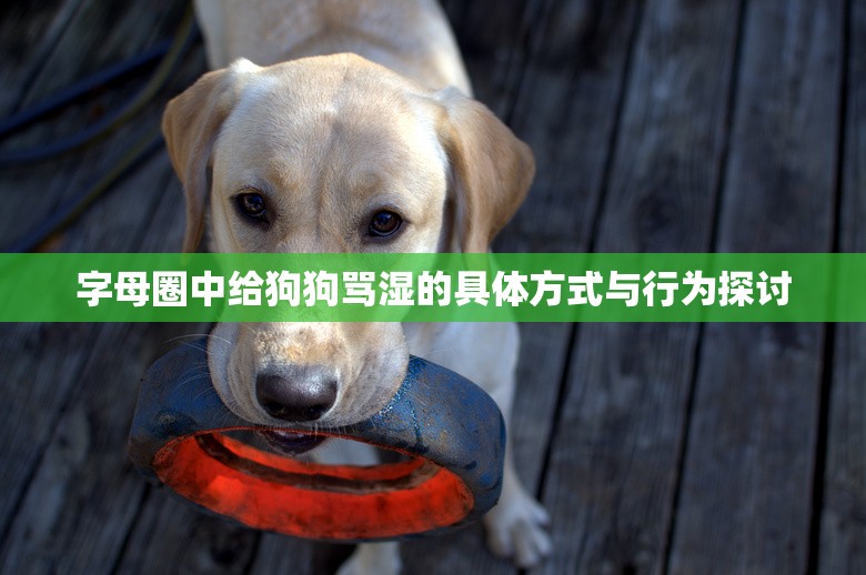 字母圈中给狗狗骂湿的具体方式与行为探讨