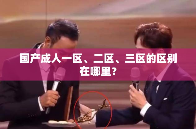 国产成人一区、二区、三区的区别在哪里？