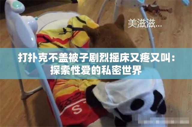 打扑克不盖被子剧烈摇床又疼又叫：探索性爱的私密世界