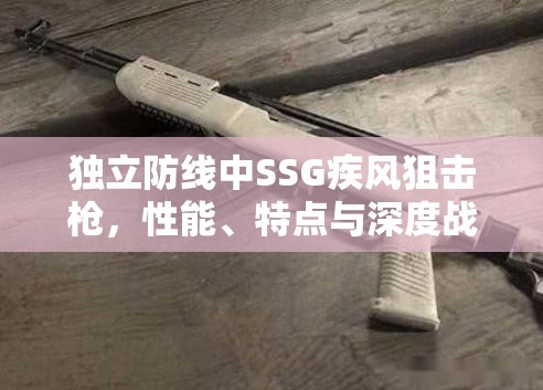 独立防线中SSG疾风狙击枪，性能、特点与深度战术解析