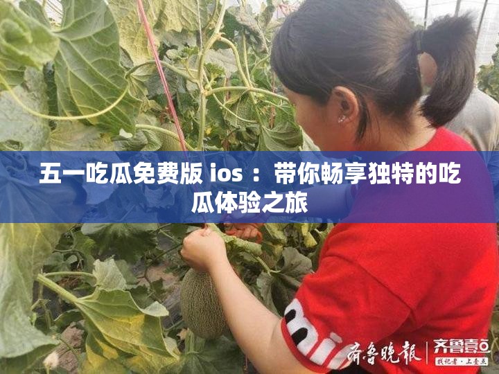五一吃瓜免费版 ios ：带你畅享独特的吃瓜体验之旅