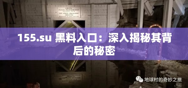 155.su 黑料入口：深入揭秘其背后的秘密