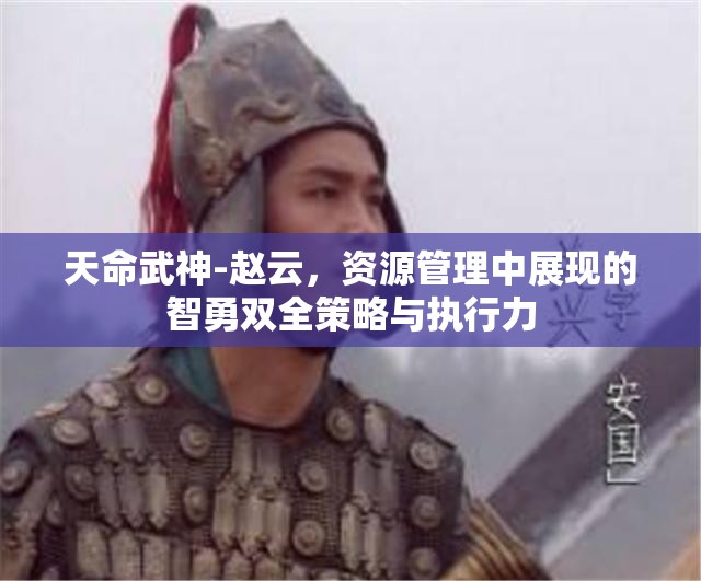 天命武神-赵云，资源管理中展现的智勇双全策略与执行力