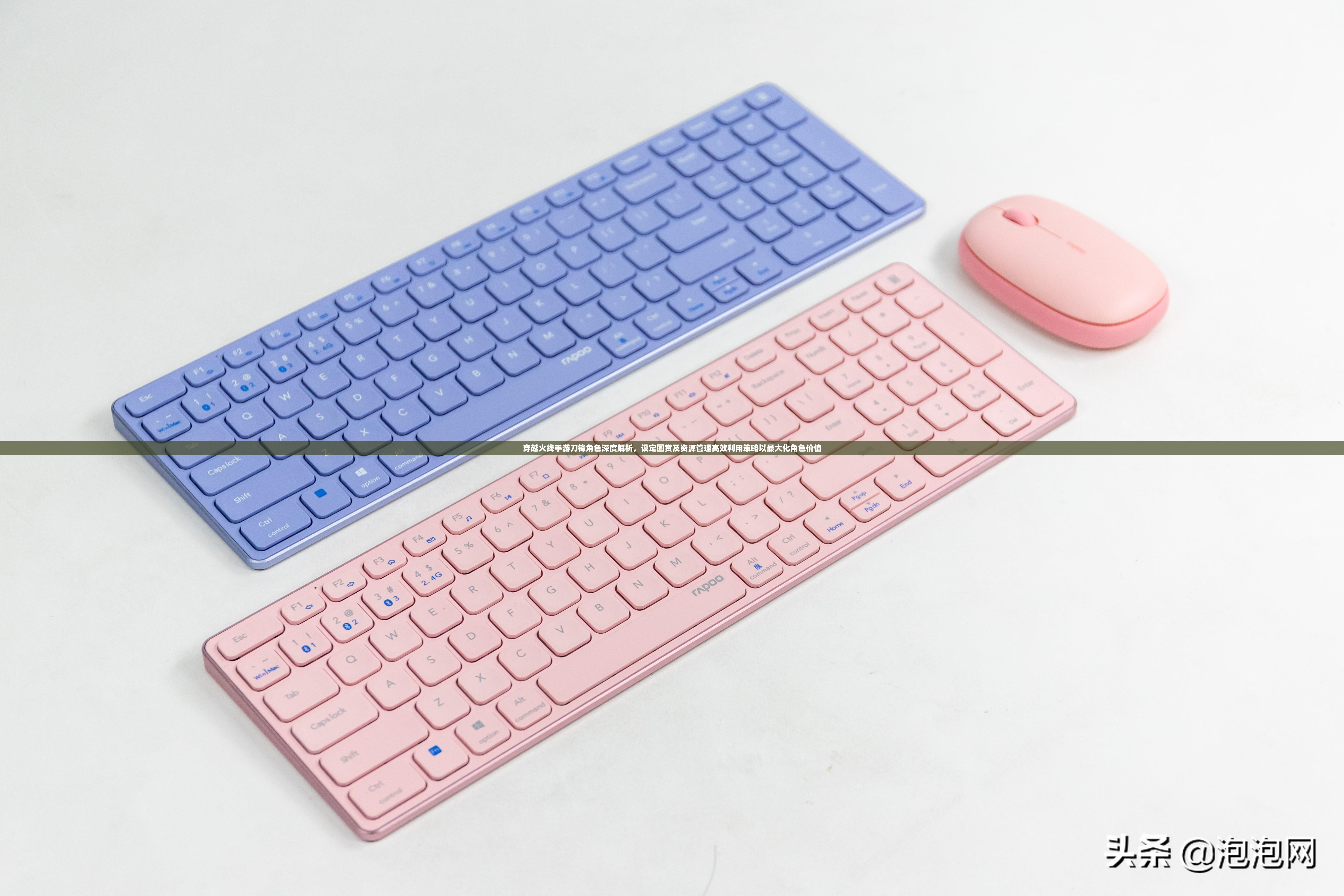 穿越火线手游刀锋角色深度解析，设定图赏及资源管理高效利用策略以最大化角色价值