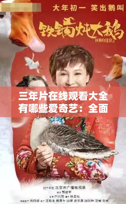 三年片在线观看大全有哪些爱奇艺：全面解析各类在线影片资源