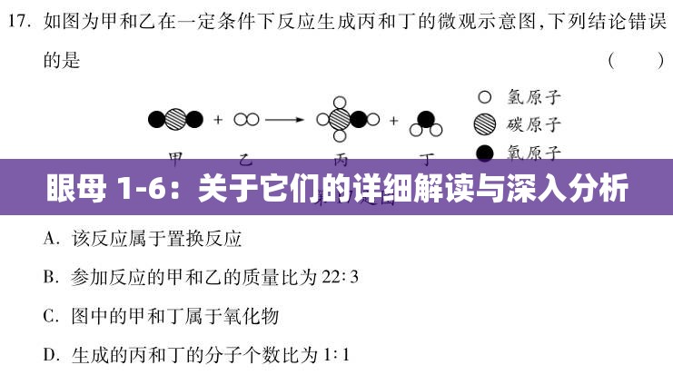 眼母 1-6：关于它们的详细解读与深入分析