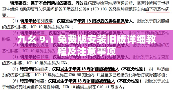 九幺 9.1 免费版安装旧版详细教程及注意事项