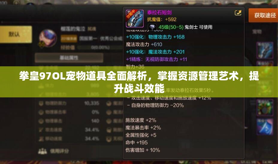 拳皇97OL宠物道具全面解析，掌握资源管理艺术，提升战斗效能
