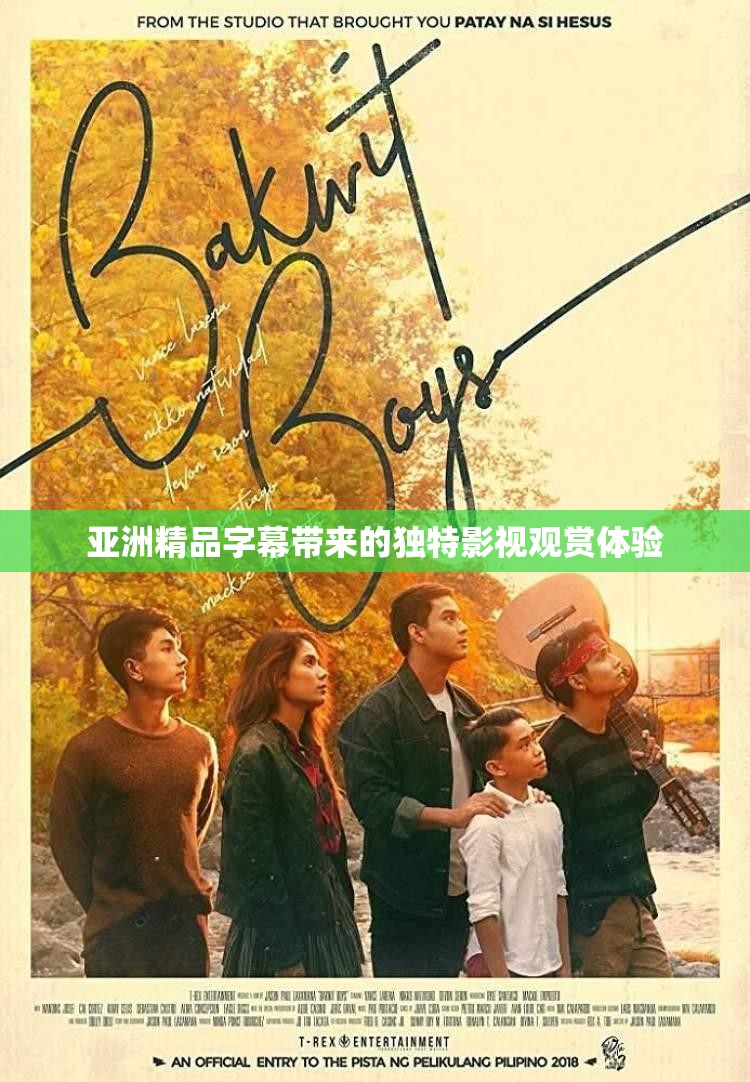 亚洲精品字幕带来的独特影视观赏体验