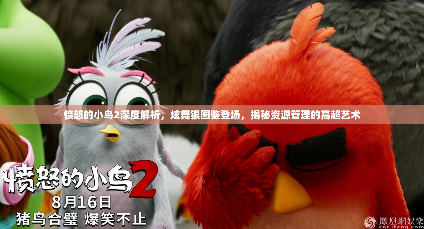 愤怒的小鸟2深度解析，炫舞银图鉴登场，揭秘资源管理的高超艺术