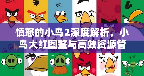 愤怒的小鸟2深度解析，小鸟大红图鉴与高效资源管理的艺术