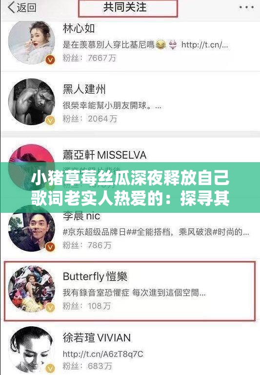 小猪草莓丝瓜深夜释放自己歌词老实人热爱的：探寻其背后的独特魅力