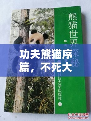功夫熊猫序篇，不死大师之星鳄深度解析——探索资源管理的艺术