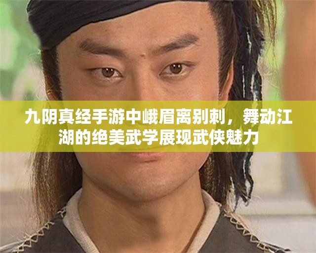 九阴真经手游中峨眉离别刺，舞动江湖的绝美武学展现武侠魅力