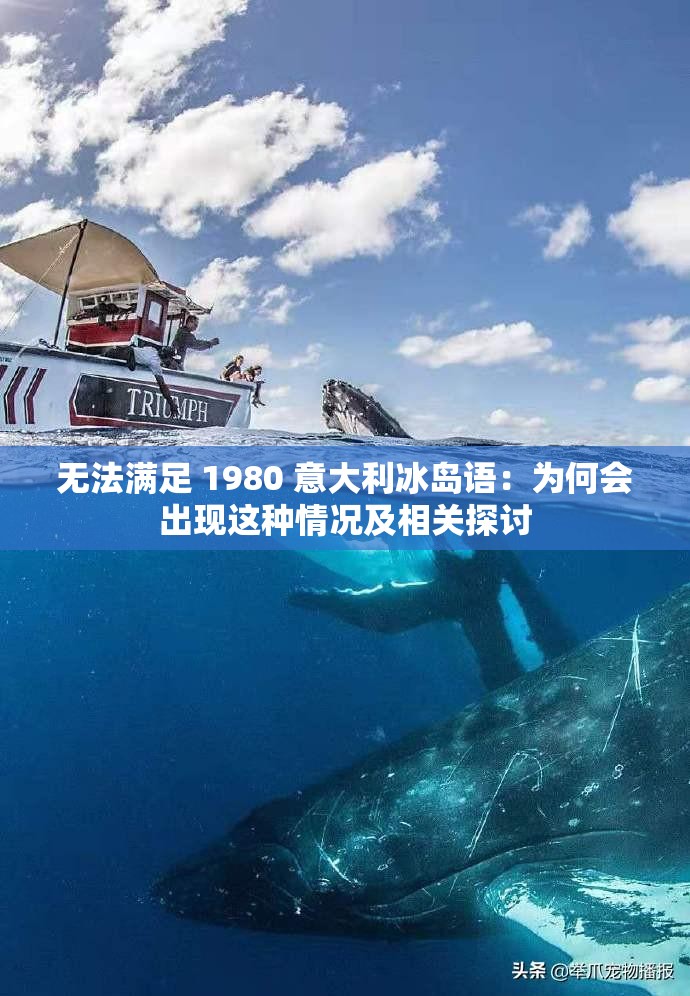 无法满足 1980 意大利冰岛语：为何会出现这种情况及相关探讨