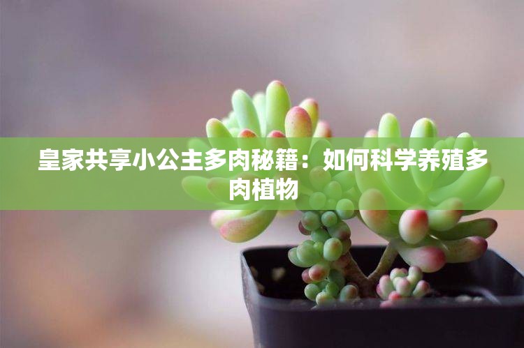 皇家共享小公主多肉秘籍：如何科学养殖多肉植物
