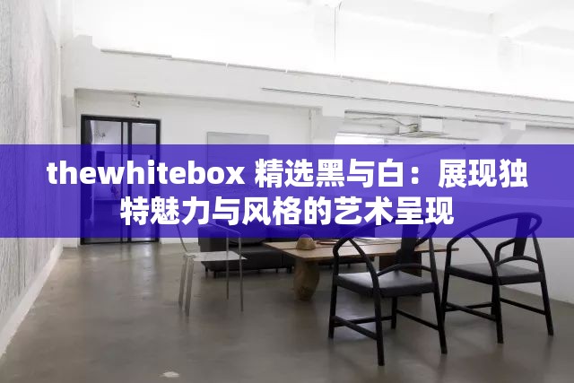 thewhitebox 精选黑与白：展现独特魅力与风格的艺术呈现