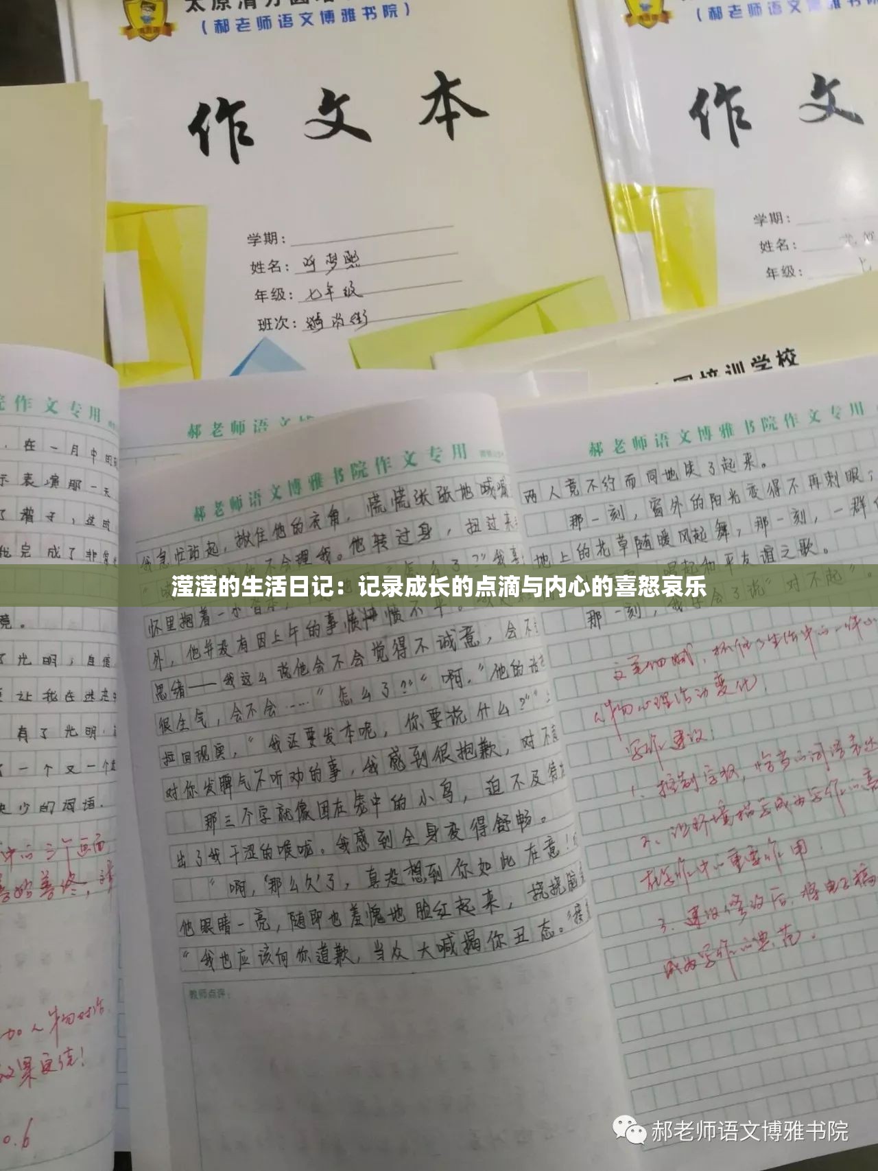 滢滢的生活日记：记录成长的点滴与内心的喜怒哀乐