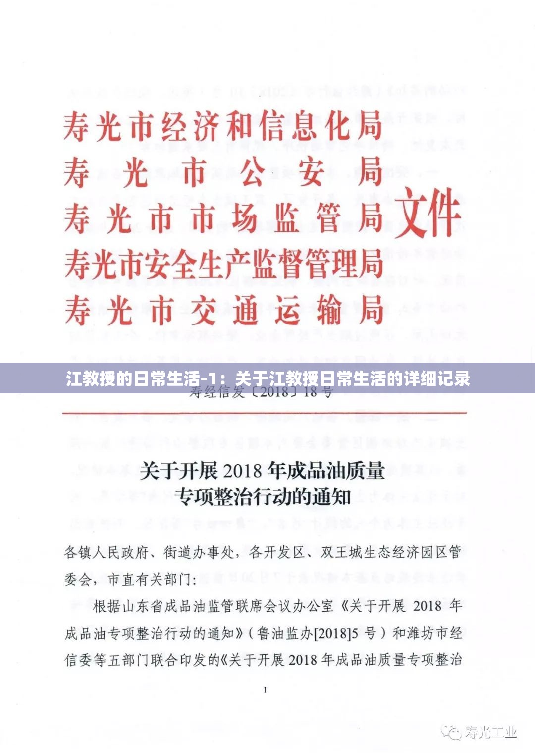 江教授的日常生活-1：关于江教授日常生活的详细记录